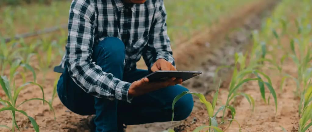 Protección de datos en cooperativas agrícolas y bodegas de Córdoba: Gestión de socios, canal de denuncias y trazabilidad digital 2 protección de datos agrícolas anti-ransomware