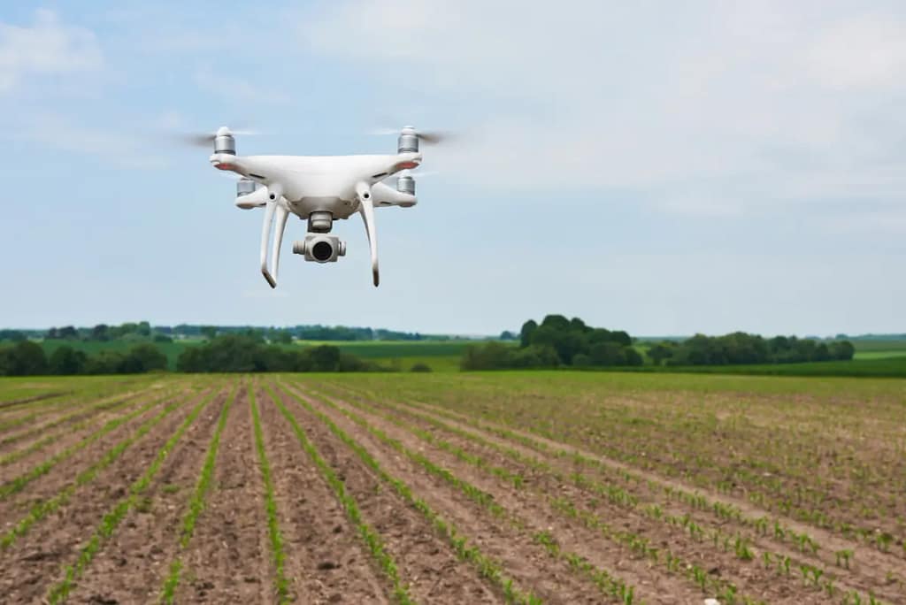 Protección de datos en cooperativas agrícolas y bodegas de Córdoba: Gestión de socios, canal de denuncias y trazabilidad digital 1 videovigilancia agrícola