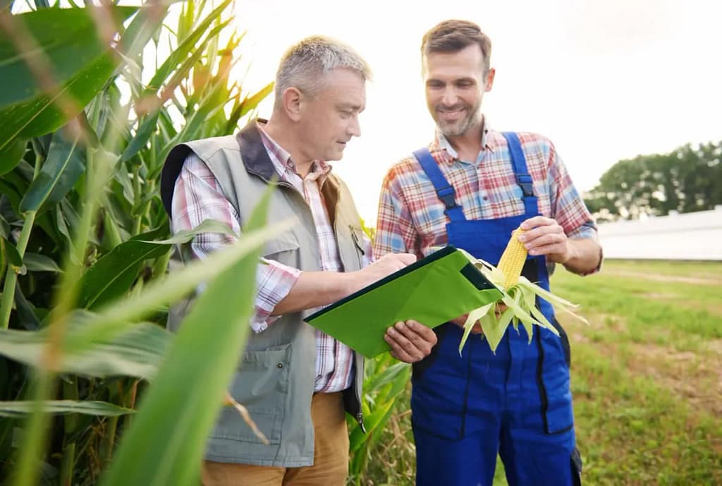 ¿Cuánto cuesta un delegado de protección de datos externo y cuándo es obligatorio? 3 Delegado de protección de datos para cooperativas agrícolas y bodegas